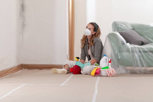 Reliable Bathroom Mold Removal contractor in Ferndale, WA by WQB Mold Removal